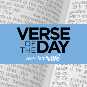 1440x1440 Verse of the day Cover 2026