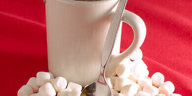 Hot Chocolate Ice Cream