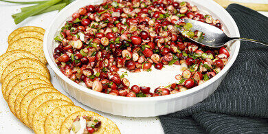 Jalapeno Cranberry Dip