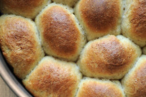 Nick's Picks: Oatmeal Rolls Nick's Picks: Oatmeal Rolls