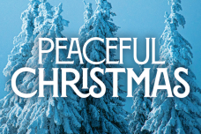 600x400 Peaceful Christmas 600x400 Peaceful Christmas