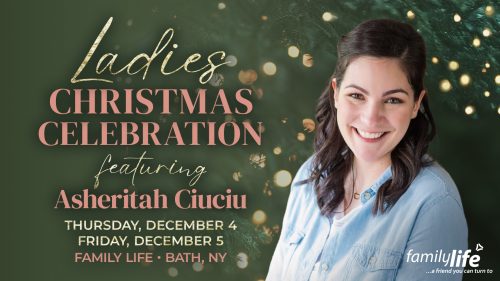 Ladies Christmas Celebration Event Banner