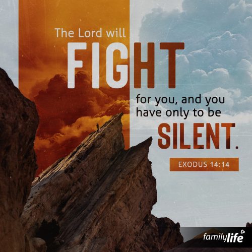 Thursday, May 25, 2023
Exodus 14:14
The Lord will fight for you, and you have only to be silent.

In the midst of your most difficult trials, God is with you and fighting for you. You don't have to rely on your own strength or abilities to overcome challenges. Rather, trust in God's power and provision, knowing that He saw this hardship coming before you even drew your first breath. When you're feeling overwhelmed or unsure of what to do, I encourage you to take a deep breath and be still. Trust in God's love for you and His desire to fight for you. Take refuge under His wing, knowing that some battles aren’t yours to win: they’re His.