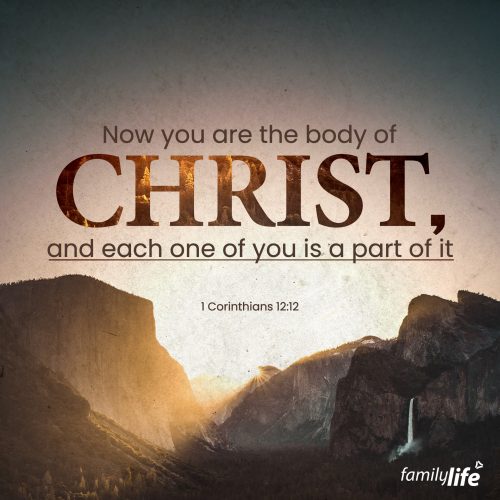 Wednesday, May 31, 2023
1 Corinthians 12:12
For just as the body is one and has many members, and all the members of the body, though many, are one body, so it is with Christ.

Remove one part of the body, and suddenly you’re in trouble. Without eyes, you can’t see. Without ears, you can’t hear. Take away any single one of your fingers, and suddenly even the simplest tasks become a whole lot harder. The Bible describes the Christian community as the “body of Christ” for that exact reason: each person has their own role to play based on the talents, gifts and abilities God has given them. Some are eyes, some are ears, and some are fingers, but all are equally important. You may not know for sure what part of the body you are, but if you’re willing to be brave and give Him the wheel, rest assured that the Lord can and will use you to tremendous effect.