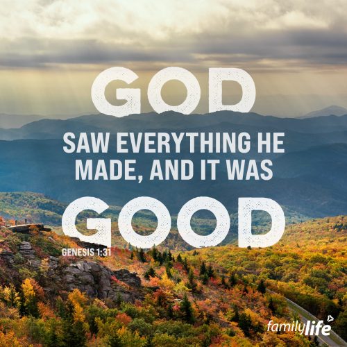 Tuesday, September 26, 2023
Genesis 1:31
And God saw everything that he had made, and behold, it was very good. And there was evening and there was morning, the sixth day.Earth is a broken paradise. It wasn’t originally designed to have pain, death and war be intrinsic parts of life. When God made this place, He said it was exceedingly good, and anything that wasn’t came after sin entered the world. The first man and woman rebelled against God and brought tragedy to His creation… and we can’t pin all the blame on them. If they hadn’t been deceived, eventually you or I would have been. But even so, from the very beginning, the Lord had a plan to rescue His children from themselves and bring them to a new Heaven and a new earth, where sin and death will have dominion no more.