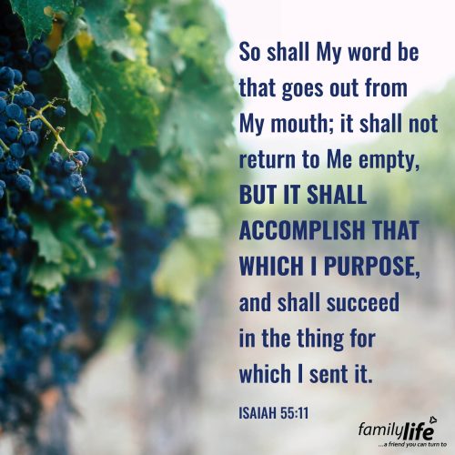 Tuesday, September 30, 2025
Isaiah 55:11
So shall My word be that goes out from My mouth; it shall not return to Me empty, but it shall accomplish that which I purpose, and shall succeed in the thing for which I sent it. When a farmer drops a seed into the ground, he knows that if he waters it and takes care of it, it’s guaranteed to grow. And that’s what happens when God’s Word goes out into the world, it’s guaranteed to accomplish exactly what He intends it to.