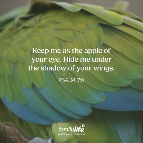 Monday, October 19, 2026
Psalm 17:8
Keep me as the apple of your eye. Hide me under the shadow of your wings. When you have a little one, usually they are the apple of your eye. The one that you protect because they are so precious in your sight. And David knew that he needed God’s protection and help, so he requested for God to keep him safe in a very turbulent time. The next time you’re facing one of those times, follow his example and ask the LORD to help you!