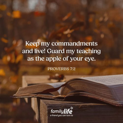 Thursday, October 22, 2026
Proverbs 7:2
Keep my commandments and live! Guard my teaching as the apple of your eye. If someone stood in front of you and looked deep into your eyes, they’d see a tiny reflection of themselves looking back. Which would make them the apple of your eye or something precious to watch over. And Solomon knew that for us to live the life God intended, we couldn’t simply glance at His Word. We’d need to treasure it as the apple of our eye.