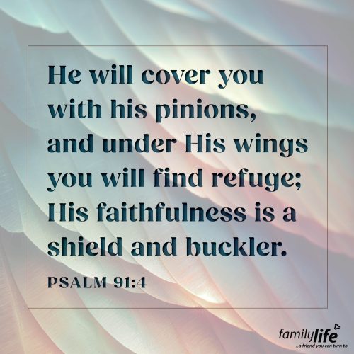 Thursday, November 13, 2025
Psalm 91:4
He will cover you with his pinions, and under His wings you will find refuge; His faithfulness is a shield and buckler. When life feels unsure, you can take refuge in God. His faithfulness is meant to make you feel secure and safe no matter what circumstances you face. So, if you need a place to take refuge today, do it under the wings of your Savior.