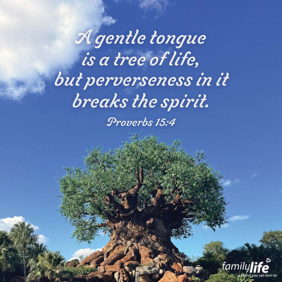 Daily-Verse_11-21-25