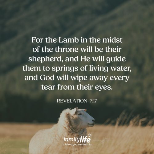 Friday, February 20, 2026
Revelation 7:17
For the Lamb in the midst of the throne will be their shepherd, and He will guide them to springs of living water, and God will wipe away every tear from their eyes. There is a day coming that will be more precious than we can imagine. A day when God Himself will wipe away every tear from your eyes. He knows your heart. He knows your story. He knows every loss you’ve ever faced. And the amazing thing is, on that day, we will finally see just how much it has always mattered to Him.