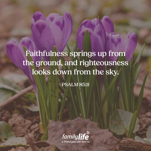 Tuesday, March 17, 2026
Psalm 85:11
Faithfulness springs up from the ground, and righteousness looks down from the sky. Restoration brings healing. The people of Israel realized they were far from God, so they took a moment to plead for mercy. For revival. For things to be made right. And God’s response is this beautiful picture of hope. A promise of restoration once again.