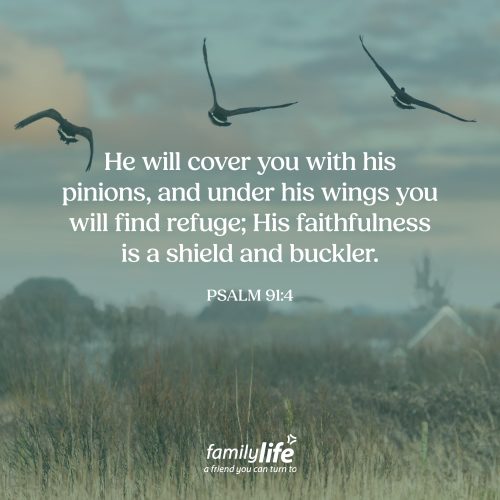 Tuesday, April 21, 2026
Psalm 91:4
He will cover you with his pinions, and under his wings you will find refuge; His faithfulness is a shield and buckler. When you find yourself in need of comfort, God offers a place where you can feel completely safe and protected. A place where His presence surrounds you, His love shields you, and His faithfulness is your constant defense.