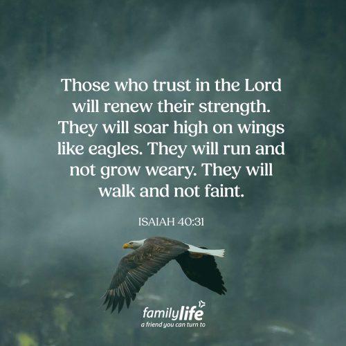 Wednesday, June 17, 2026
Isaiah 40:31
Those who trust in the Lord will renew their strength. They will soar high on wings like eagles. They will run and not grow weary. They will walk and not faint. If you were climbing a mountain and needed a little pick-me-up, you’d probably grab a protein bar to give you the strength you needed to finish. But the strength Isaiah talks about isn’t something that comes from nutrients or energy drinks. It only comes from the Lord.