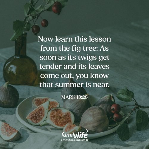 Monday, July 13, 2026
Mark 13:28
Now learn this lesson from the fig tree: As soon as its twigs get tender and its leaves come out, you know that summer is near. Jesus wanted to make sure His followers knew how to recognize His return, so He used an illustration they would understand. When winter is ending, tiny buds appear on the branches. And while those buds don’t cause summer to come, they do reveal that it's getting close. In the same way, Jesus’ return would include signs that wouldn’t cause Him to return, but would reveal it was close at hand.