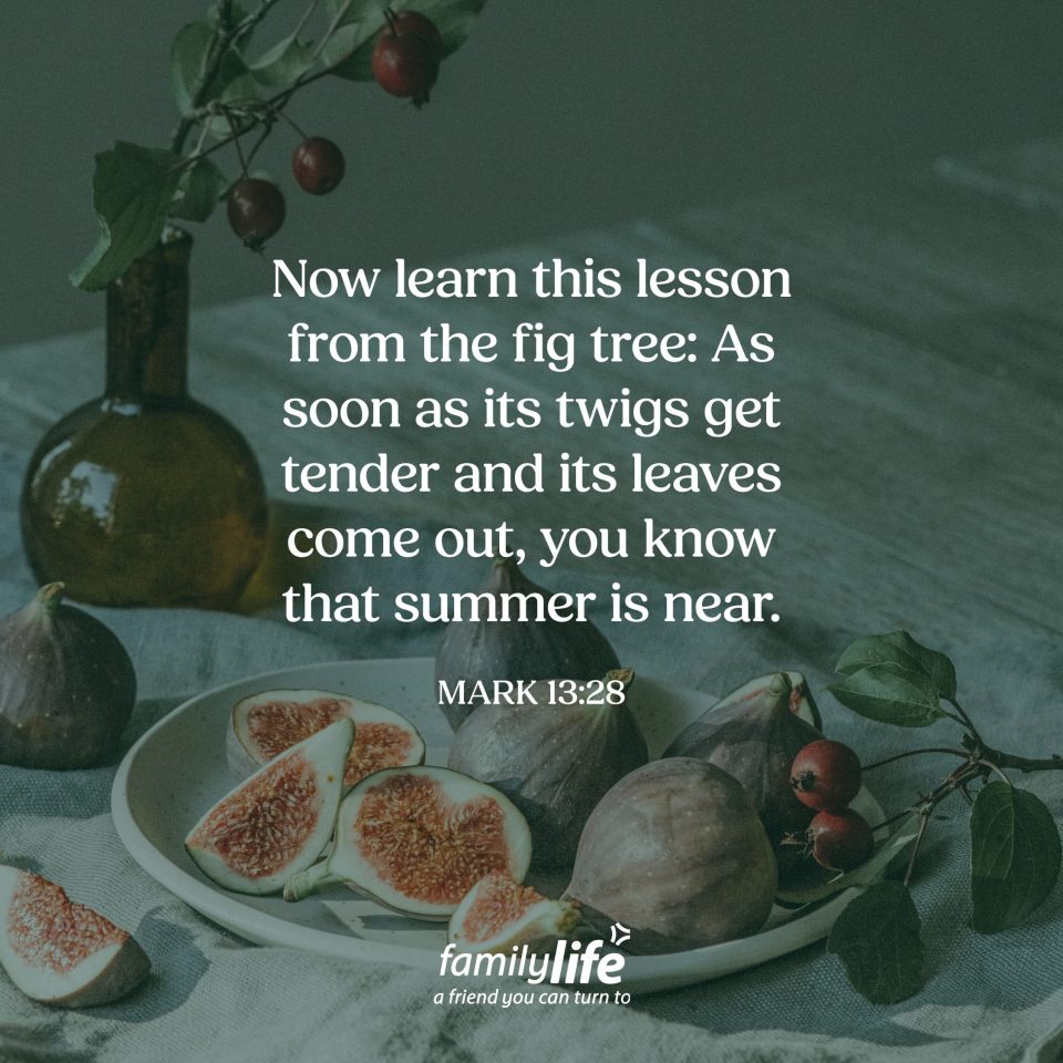 Daily-Verse_7-13-26