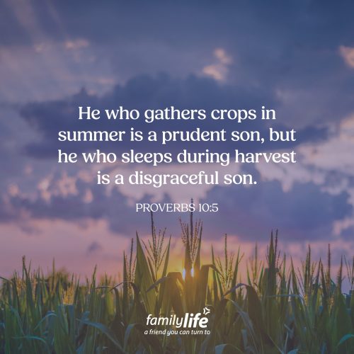 Tuesday, July 14, 2026
Proverbs 10:5
He who gathers crops in summer is a prudent son, but he who sleeps during harvest is a disgraceful son. Farmers know that some seasons are more productive than others. Summer is one of those seasons. It's the best time to work the fields, plant the seeds, pull the weeds, and do everything possible to prepare for the harvest to come. Is there something you need to plant today?