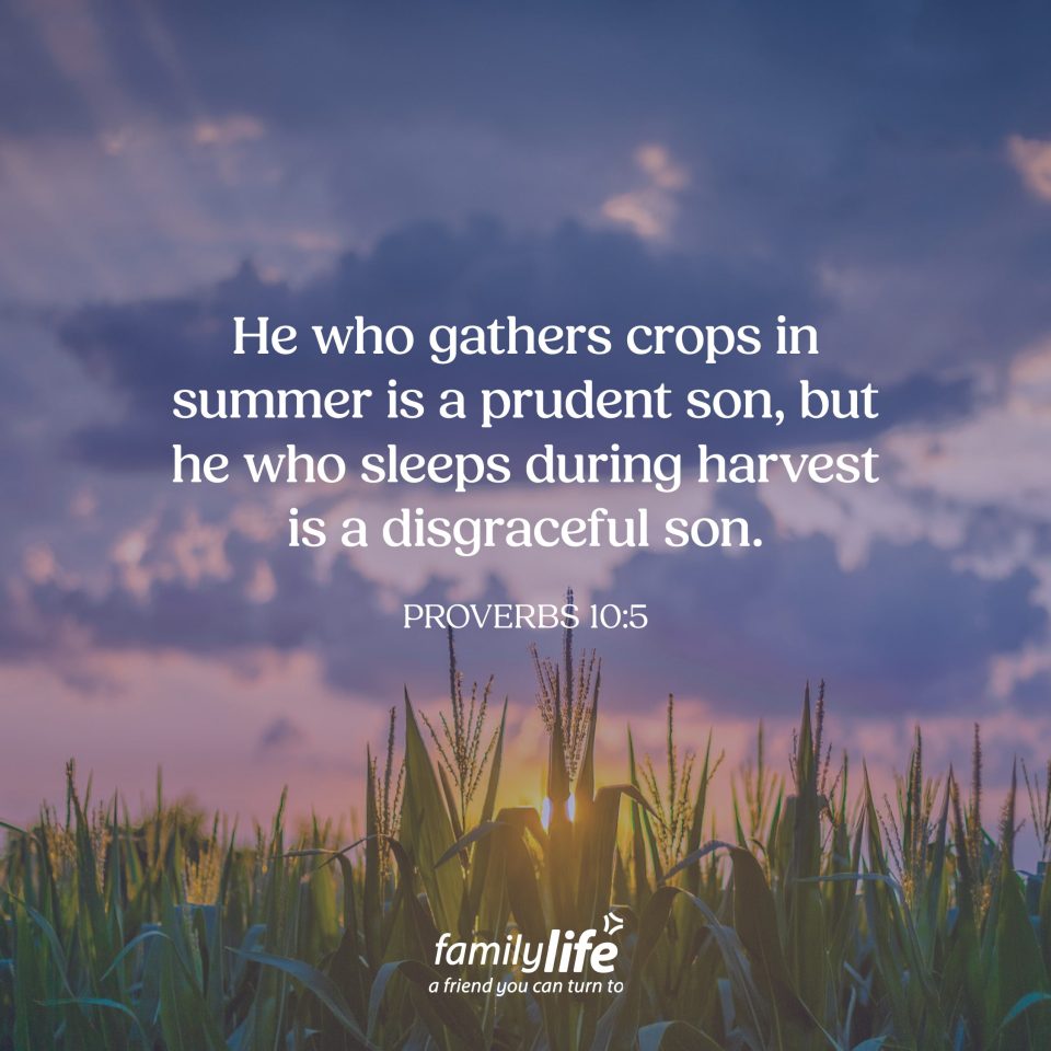 Daily-Verse_7-14-26
