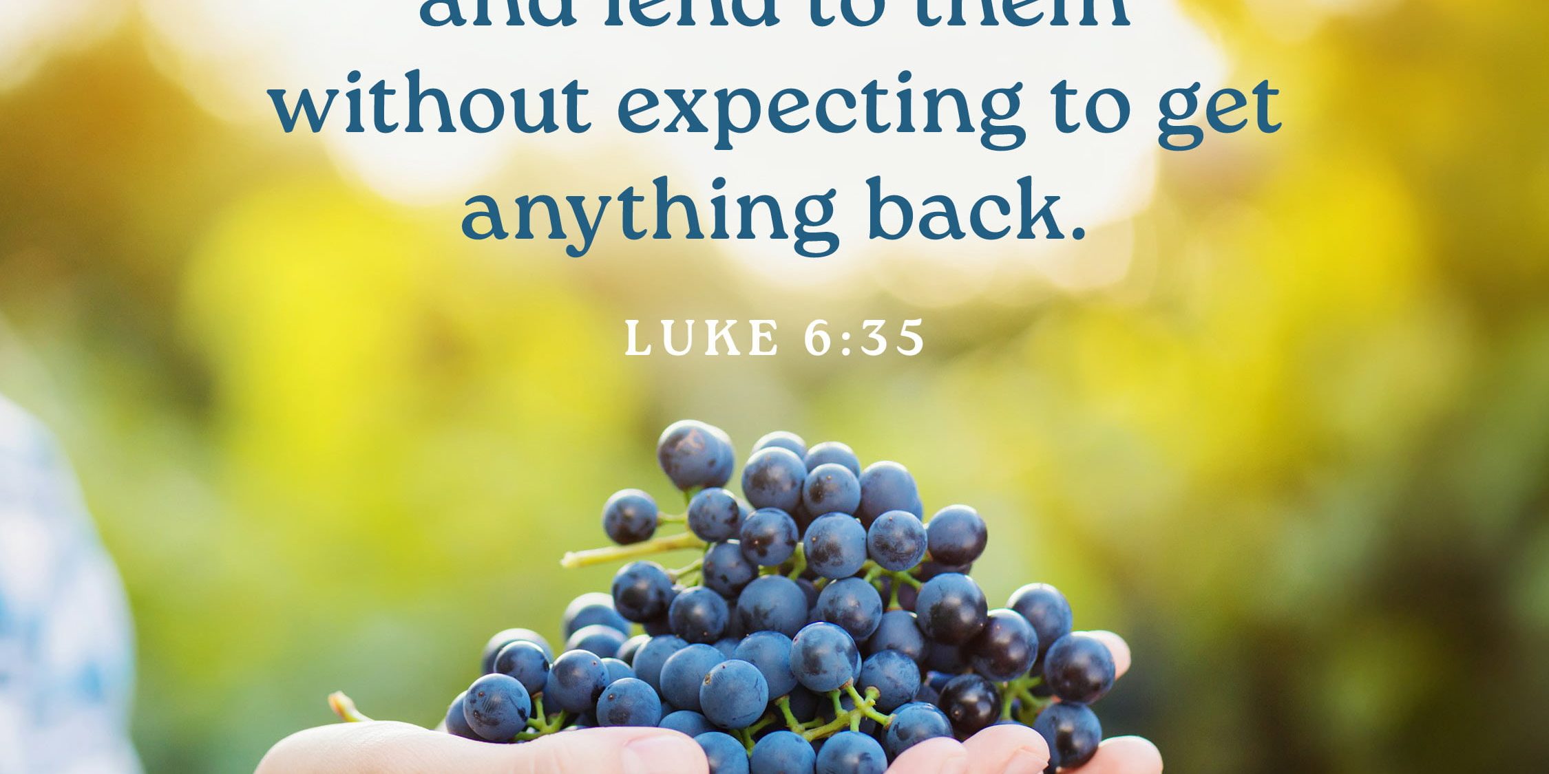 An excerpt of the daily verse over a pair of hands holding a cluster of grapes