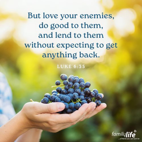 An excerpt of the daily verse over a pair of hands holding a cluster of grapes