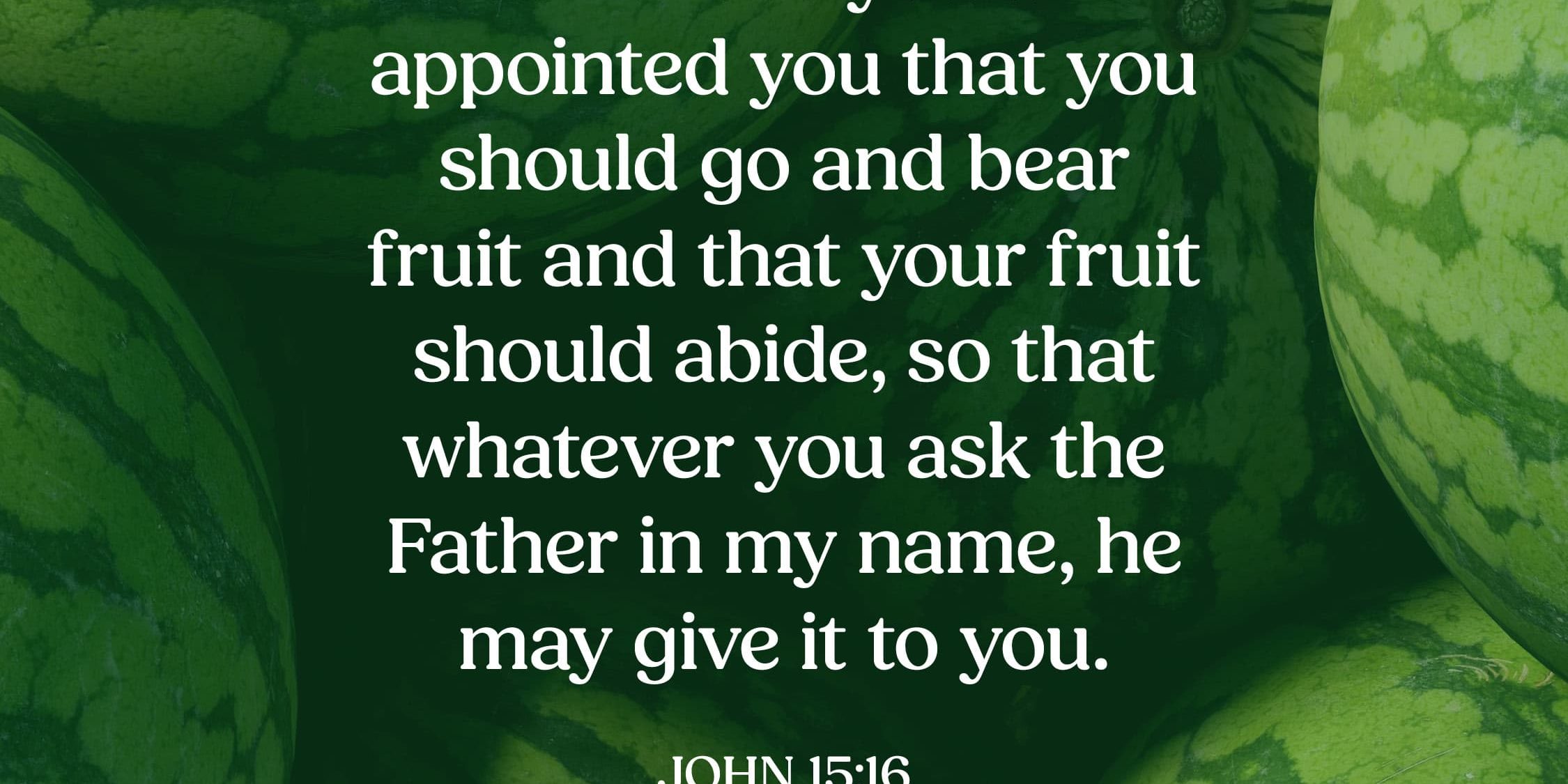 John 15 16