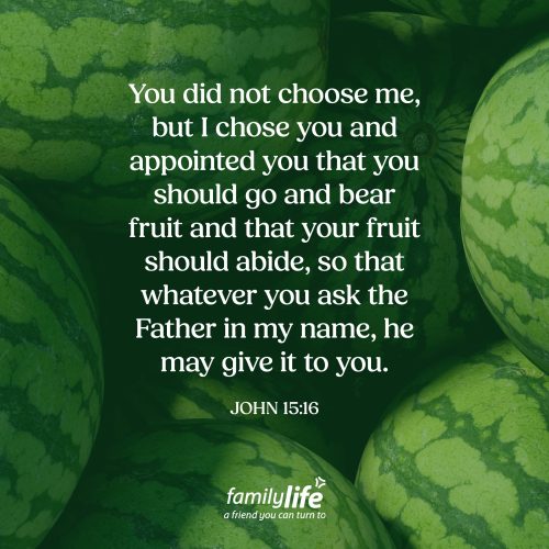 John 15 16