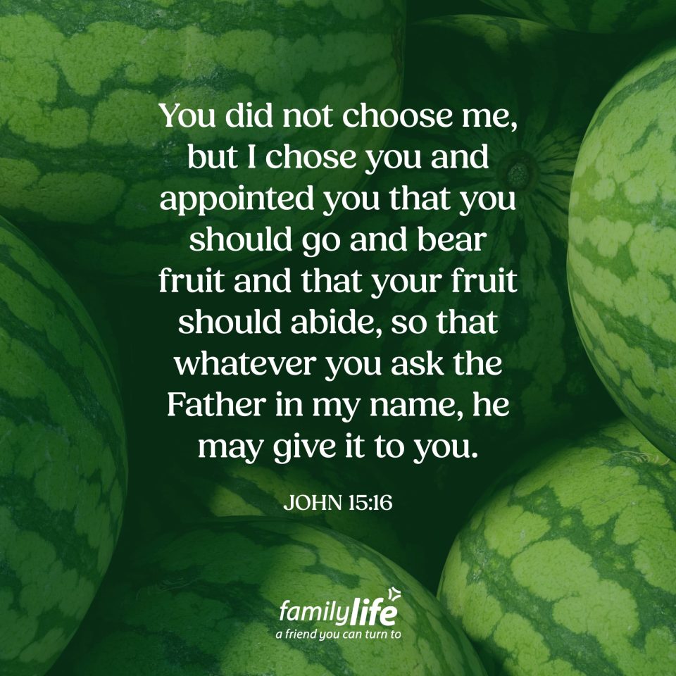 John 15 16