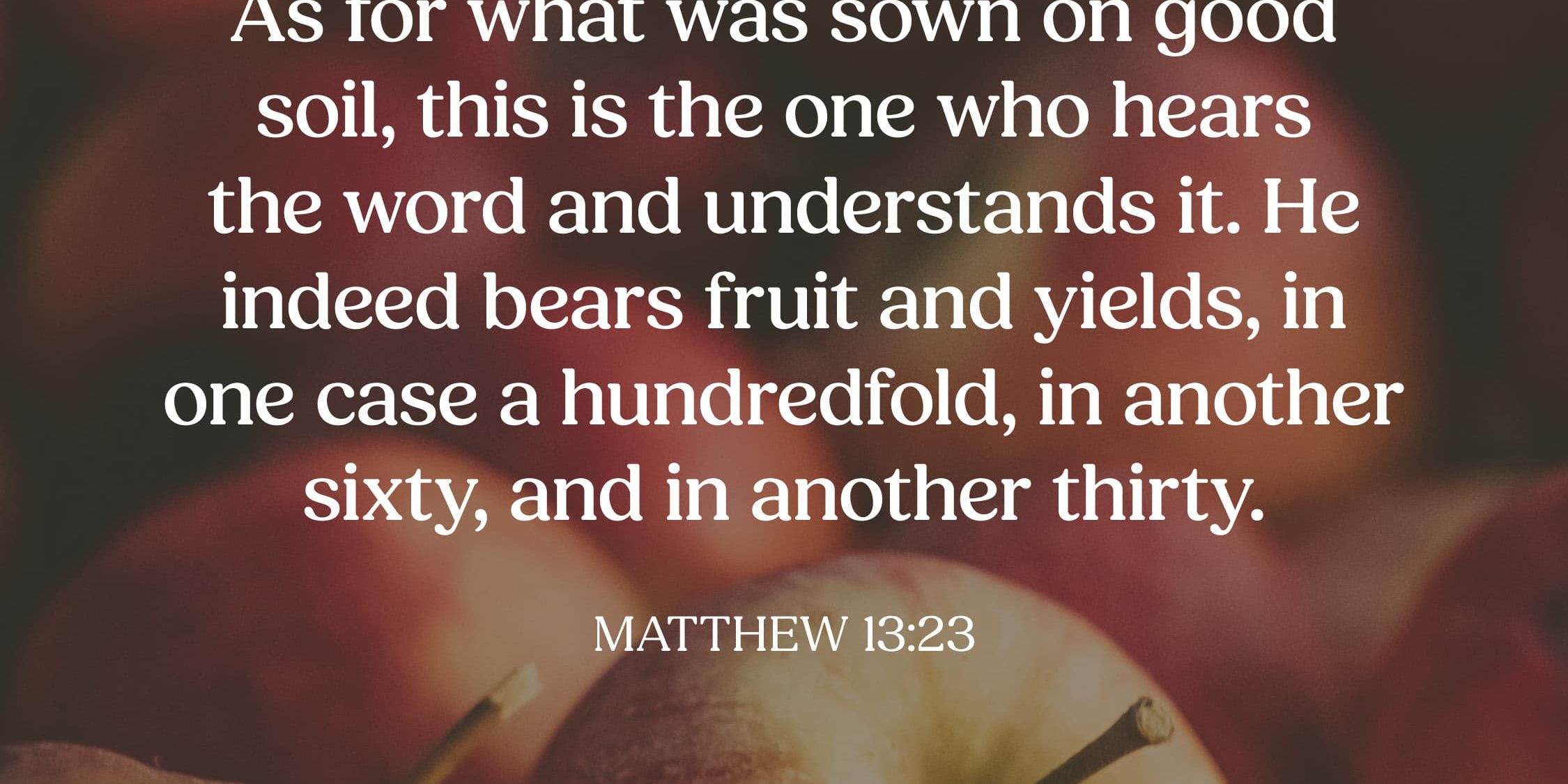 matthew 13 23