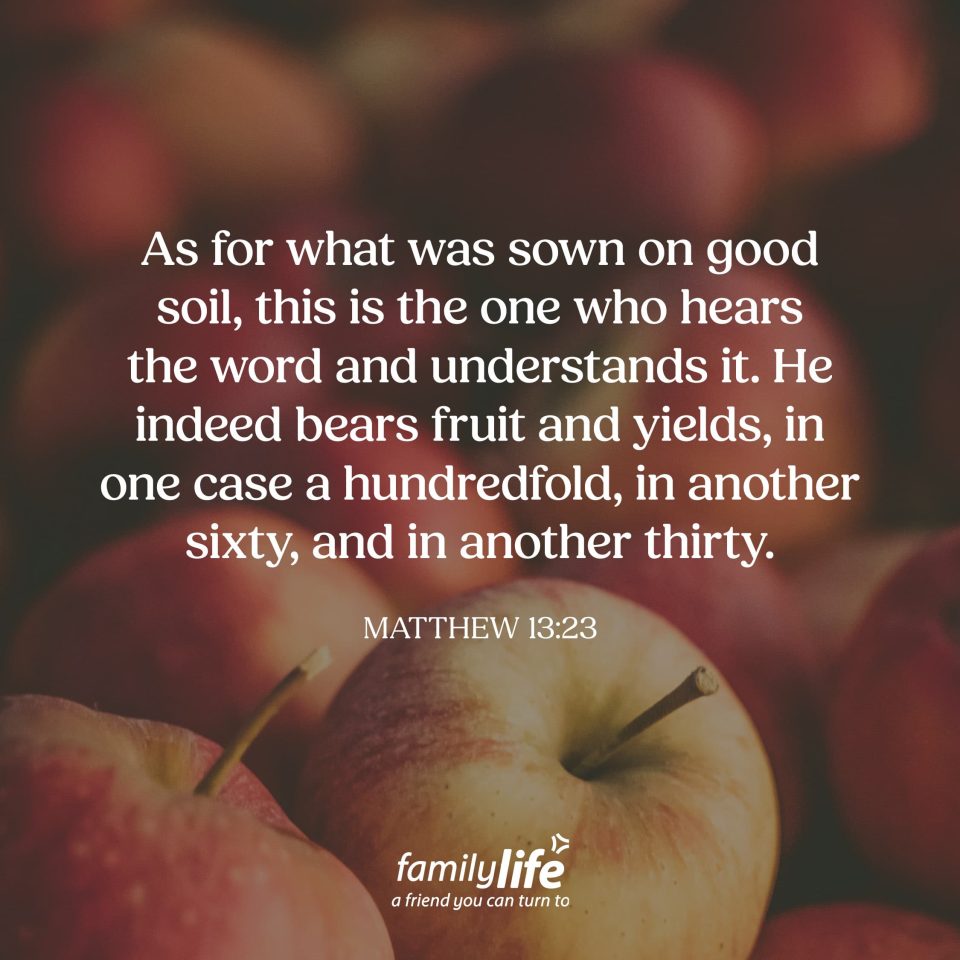 matthew 13 23