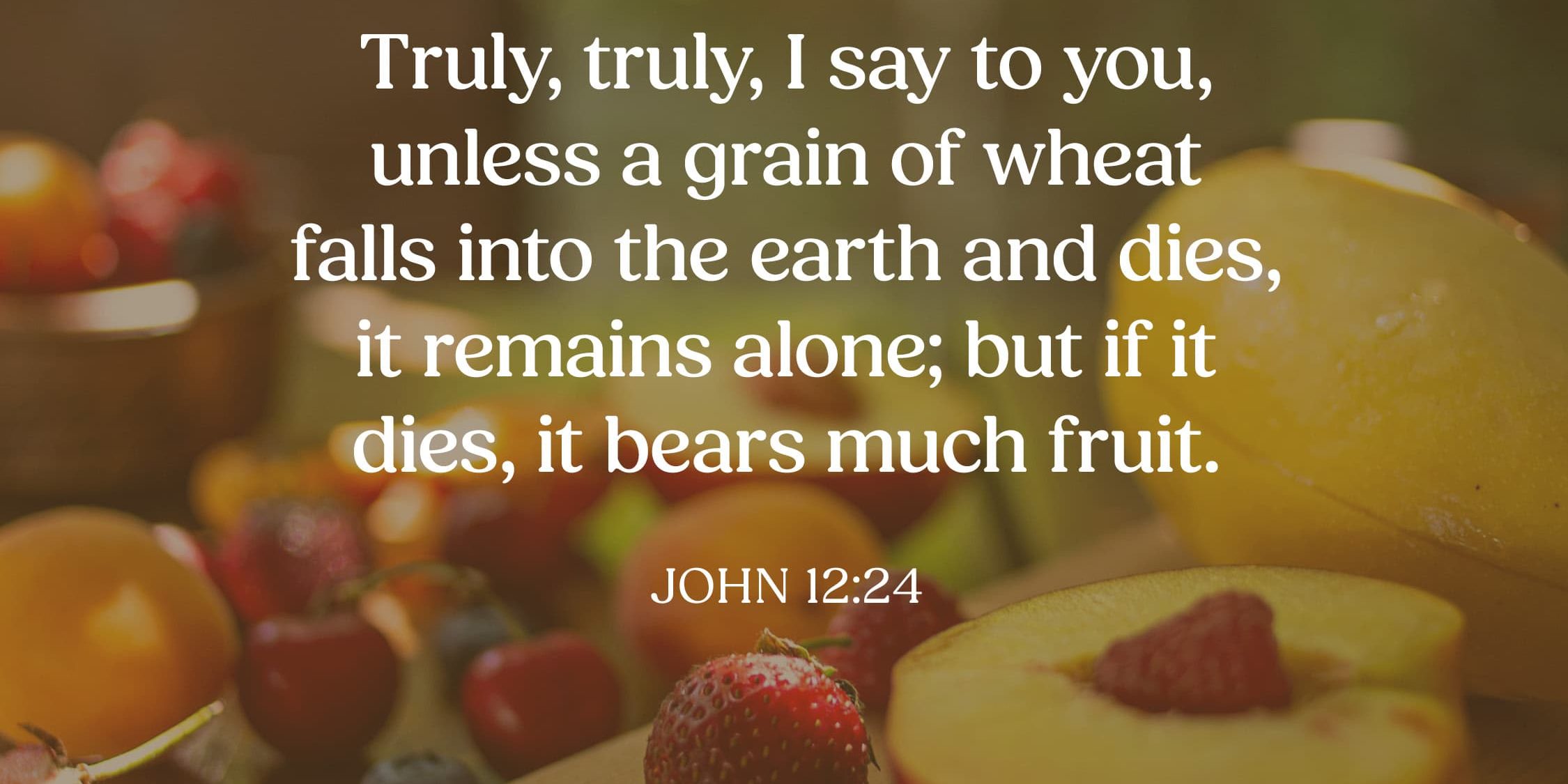 john 12 24