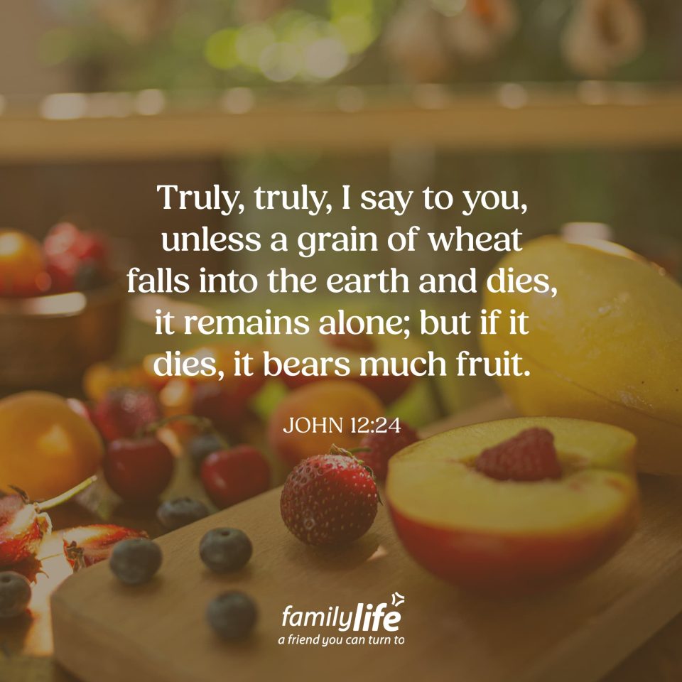 Daily-Verse_7-30-26 john 12 24