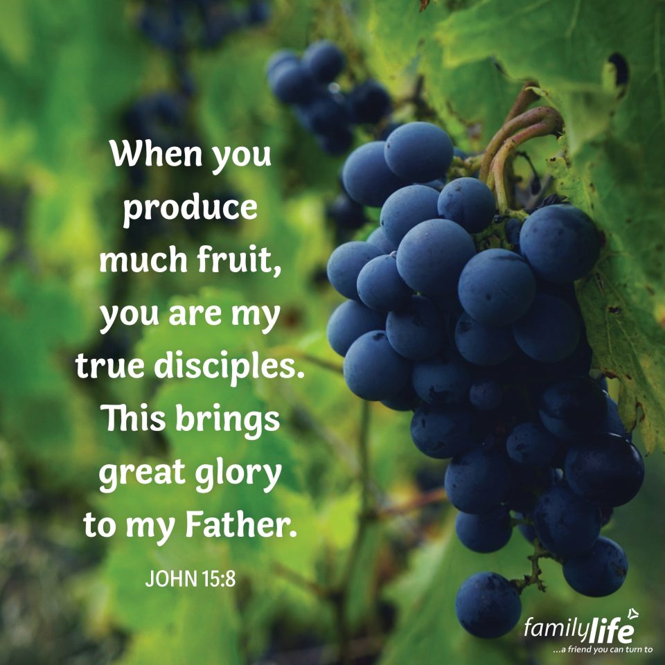 An excerpt of the daily verse with a cluster of grapes in the background