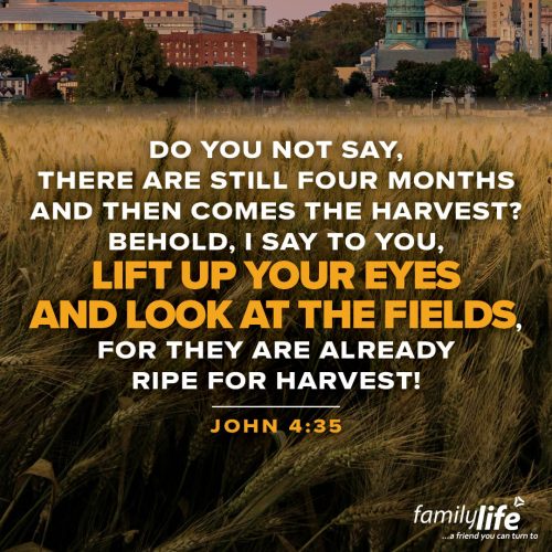 Wednesday, July 9, 2025
John 4:35
Do you not say, There are still four months and then comes the harvest? Behold, I say to you, lift up your eyes and look at the fields, for they are already white for harvest! The Kingdom of God is different than this world when it comes to harvesting what’s been planted. In this world, the harvest only happens once or twice a year, but in God’s Kingdom, the harvest is plentiful and ready for picking every single day of the year!
