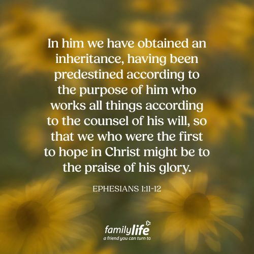 Thursday, August 20, 2026
Ephesians 1:11-12
In him we have obtained an inheritance, having been predestined according to the purpose of him who works all things according to the counsel of his will, so that we who were the first to hope in Christ might be to the praise of his glory. When you think about the universe, the One who created it is the One who has authority over it. God lovingly created our world with purpose, not only to provide for His creation, but also to display His glory. And whether people acknowledge Him or not, He remains the ultimate ruler and sustainer of all things.