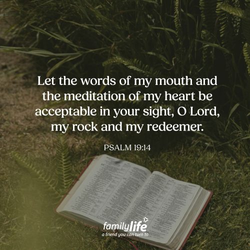 Thursday, August 27, 2026
Psalm 19:14
Let the words of my mouth and the meditation of my heart be acceptable in your sight, O Lord, my rock and my redeemer. David wasn't a perfect man. In fact, Scripture records some of his greatest failures. Yet he was called a man after God's own heart because he continually turned back to the Lord in faith. When you read Psalms, you can hear David’s desire for his heart and mind to honor the One who created him. And that’s a prayer worth making every day.