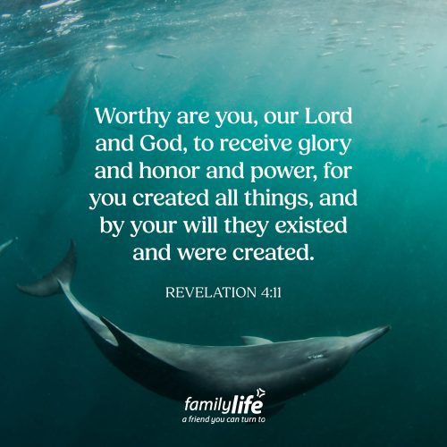 Wednesday, August 5, 2026
Revelation 4:11
Worthy are you, our Lord and God, to receive glory and honor and power, for you created all things, and by your will they existed and were created. If you created something and someone else got all the credit for doing it, that wouldn't be right. Yet everyday people enjoy the sunrise, the mountains, the oceans, even the breath in their lungs and don’t give God the glory He deserves. So as you start your day today, let God know just how much you appreciate all He’s done and continues to do each and every day.