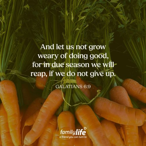 Wednesday, September 16, 2026
Galatians 6:9
And let us not grow weary of doing good, for in due season we will reap, if we do not give up. If a farmer grew weary of pulling weeds, moving rocks, watering his fields, and caring for his crops, he wouldn’t have much of a harvest when the time came. That’s why Paul challenges us not to grow weary, but to keep planting, keep watering, keep doing what God has called us to do. That way we can look forward to the harvest He’ll bring in due time.