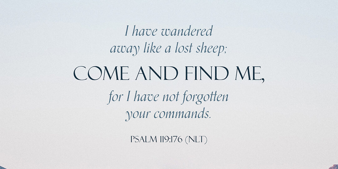 DailyVerse_03_8_2021