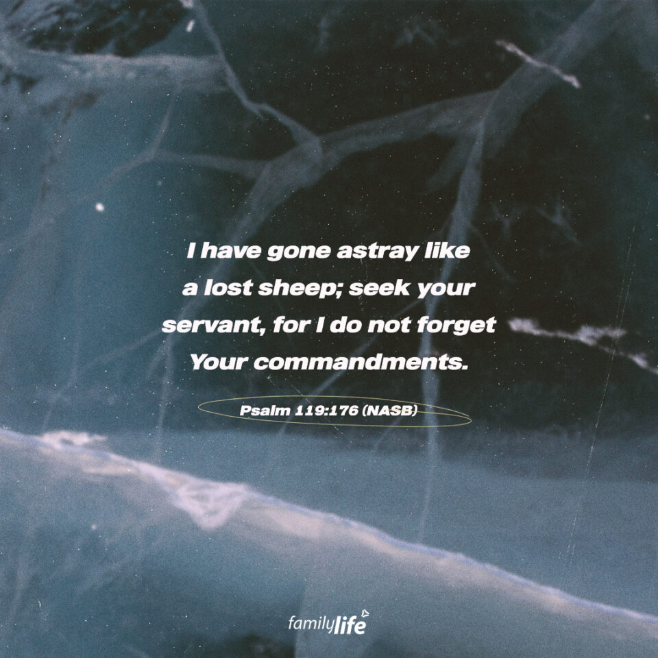 DailyVerse_07_26_2021