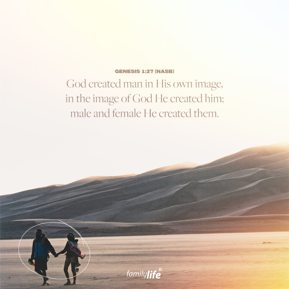 MicrosoftTeams-image (71)